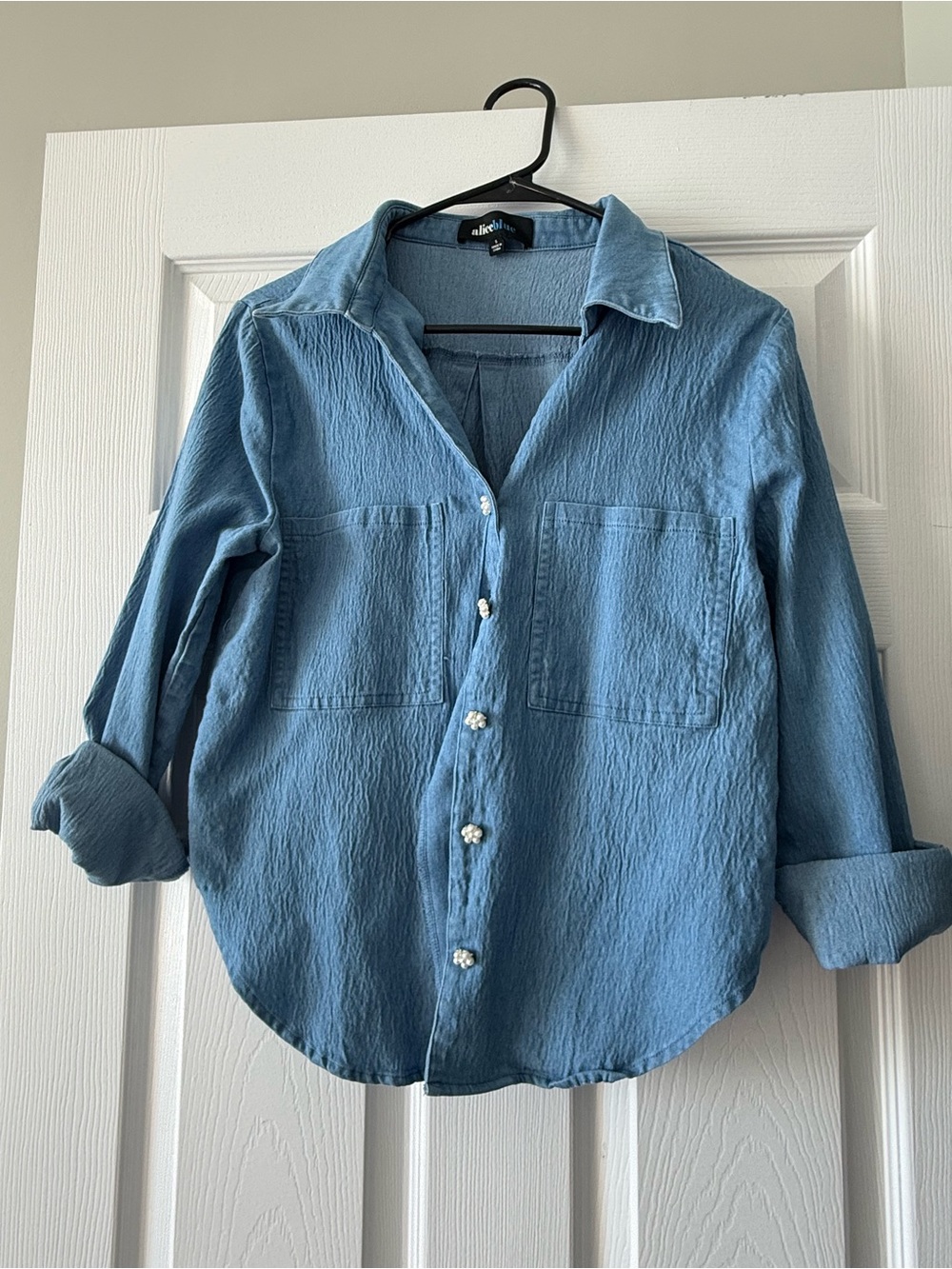 Alice Blue Light Blue Soft Jean-like Button-Down Shirt